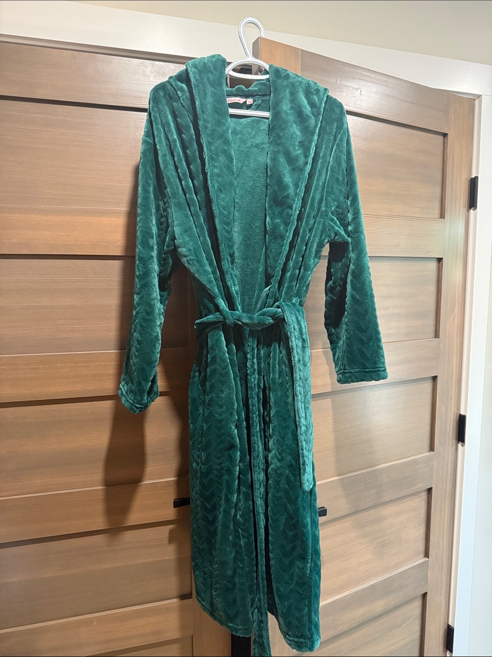 La Vie En Rose Plush Hooded Robe in Emerald
